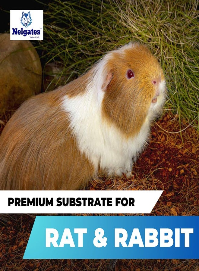 Nelgates Small Animal Bedding, Natural Soft Paper Bedding Coco peat for Small Indoor and Outdoor Pets Rabbit,Hamster, Chinchilla, Rat, or Mouse 650 Grams Animal Bedding pet Products - Image 3